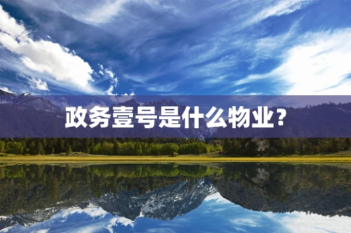政务壹号是什么物业？
