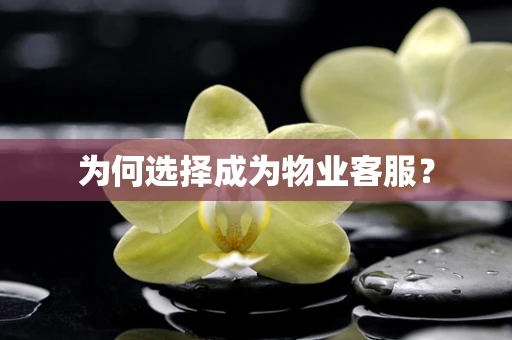 为何选择成为物业客服？