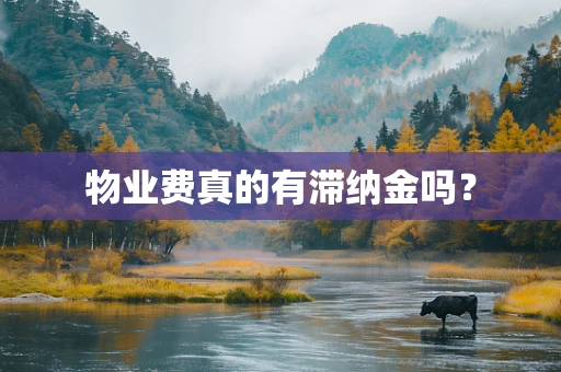 物业费真的有滞纳金吗？