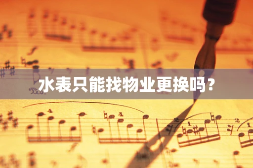 水表只能找物业更换吗？