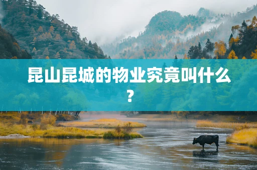 昆山昆城的物业究竟叫什么？