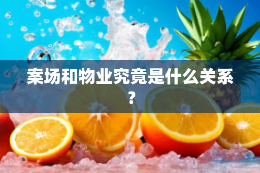 案场和物业究竟是什么关系？