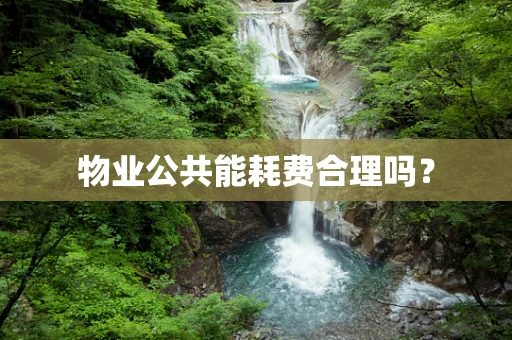 物业公共能耗费合理吗？