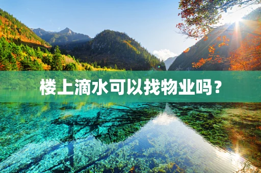 楼上滴水可以找物业吗？