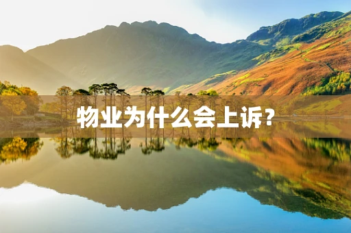 物业为什么会上诉？
