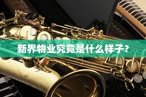 新界物业究竟是什么样子？