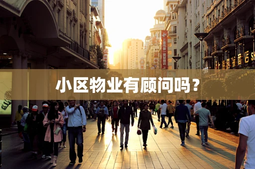 小区物业有顾问吗？