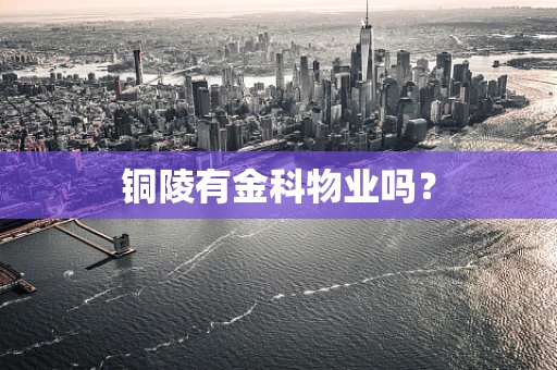 铜陵有金科物业吗？