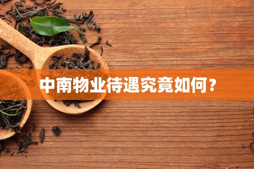 中南物业待遇究竟如何？