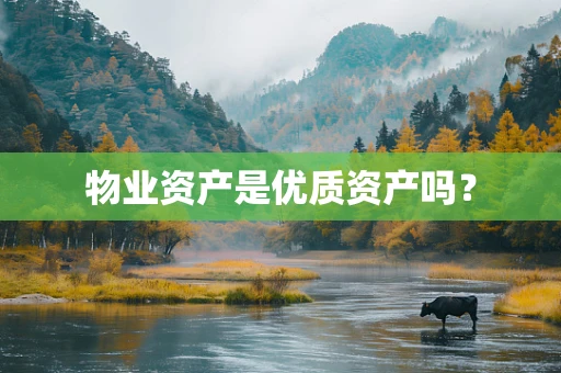 物业资产是优质资产吗？
