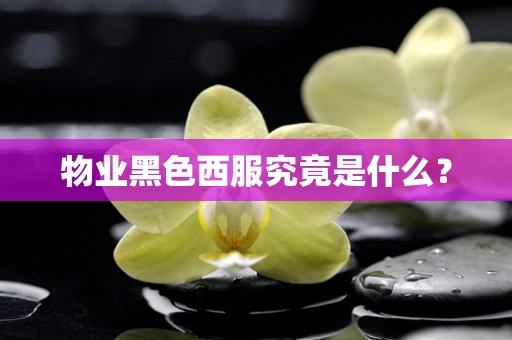 物业黑色西服究竟是什么？