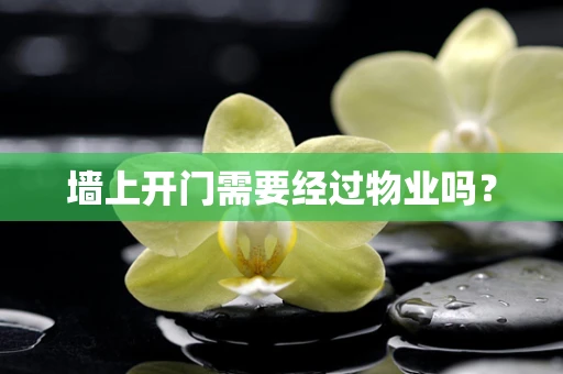 墙上开门需要经过物业吗？