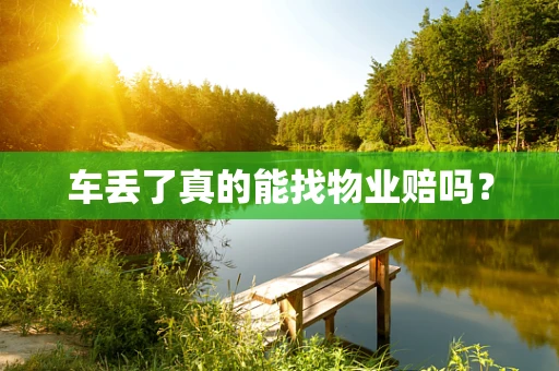 车丢了真的能找物业赔吗？