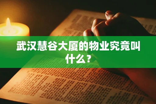 武汉慧谷大厦的物业究竟叫什么？