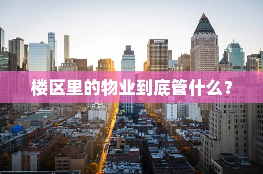 楼区里的物业到底管什么？
