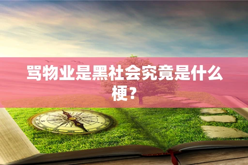 骂物业是黑社会究竟是什么梗？