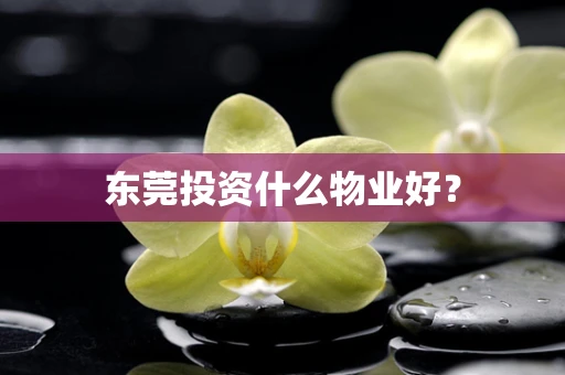 东莞投资什么物业好？