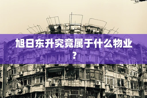旭日东升究竟属于什么物业？