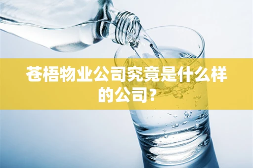 苍梧物业公司究竟是什么样的公司？