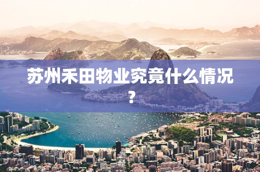 苏州禾田物业究竟什么情况？