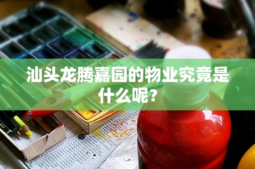 汕头龙腾嘉园的物业究竟是什么呢？