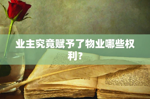 业主究竟赋予了物业哪些权利？