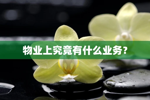 物业上究竟有什么业务？