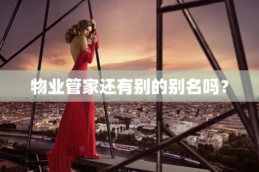 物业管家还有别的别名吗？