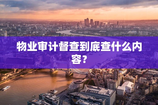 物业审计督查到底查什么内容？