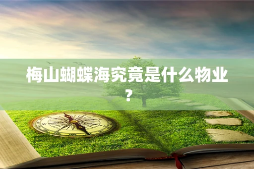 梅山蝴蝶海究竟是什么物业？