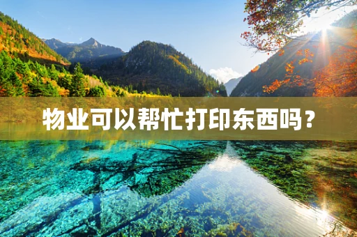 物业可以帮忙打印东西吗？