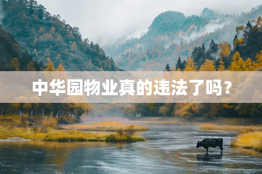 中华园物业真的违法了吗？