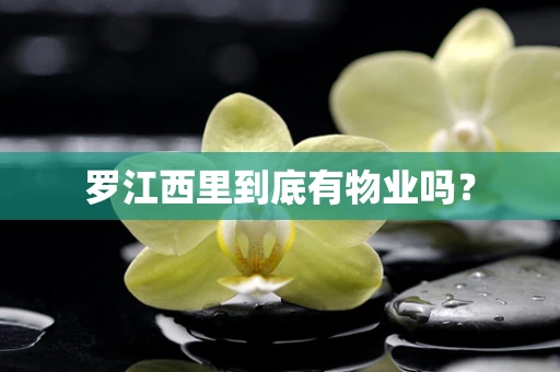 罗江西里到底有物业吗？