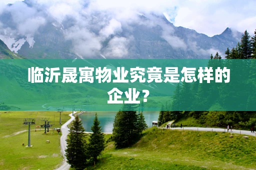 临沂晟寓物业究竟是怎样的企业？