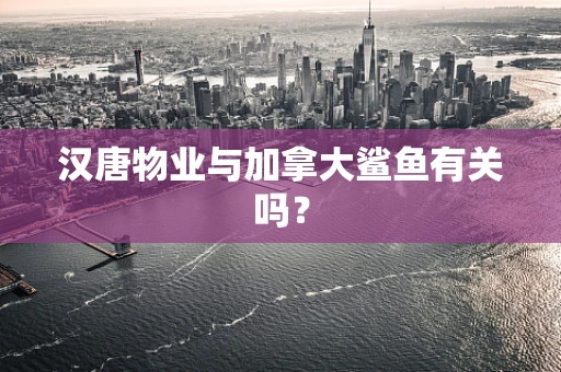汉唐物业与加拿大鲨鱼有关吗？