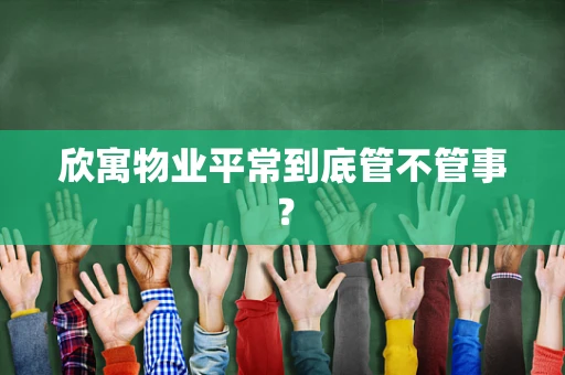 欣寓物业平常到底管不管事？