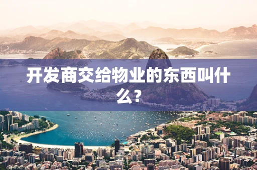 开发商交给物业的东西叫什么？