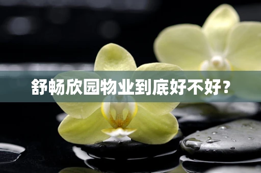 舒畅欣园物业到底好不好？