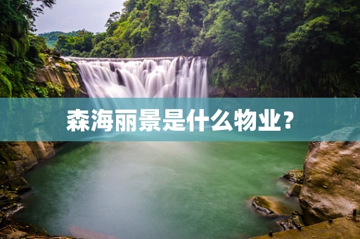 森海丽景是什么物业？