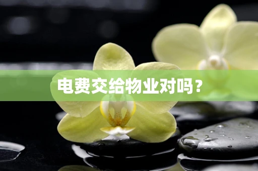 电费交给物业对吗？