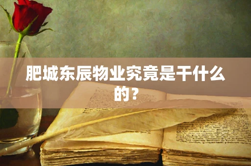肥城东辰物业究竟是干什么的？