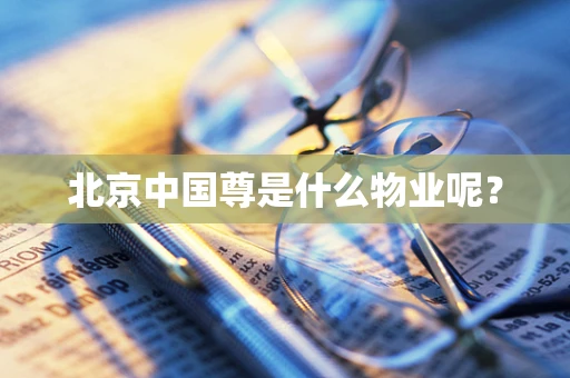 北京中国尊是什么物业呢？