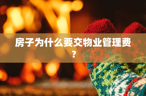 房子为什么要交物业管理费？