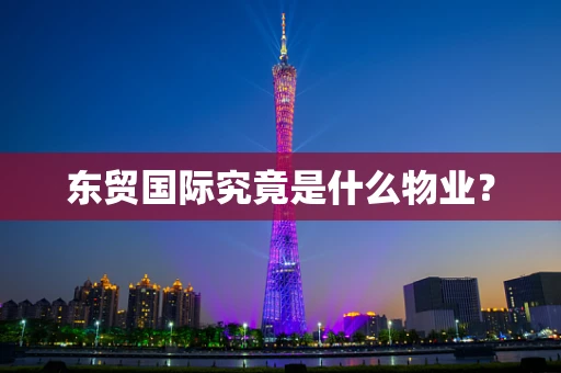 东贸国际究竟是什么物业？