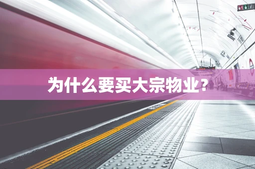 为什么要买大宗物业？