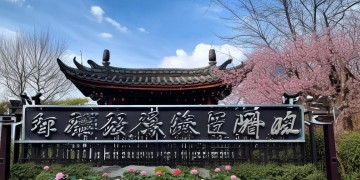 沂水县兴沂物业章究竟什么样？