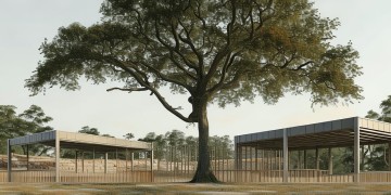 物业砍树建车棚合法吗？