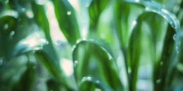 昆明万达物业究竟是什么资质？