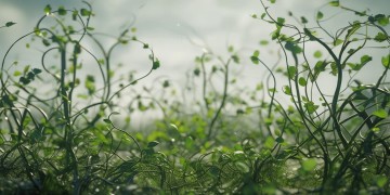 泰禾物业真的要裁员吗？