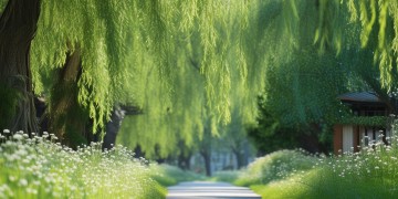 柳林路需要物业管理吗？